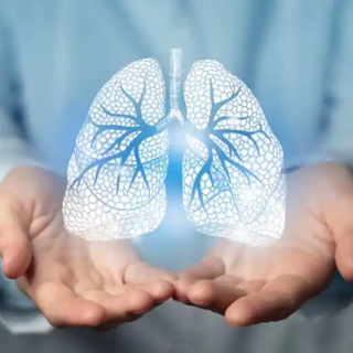 Pneumologische Reha: Grafik einer Lunge