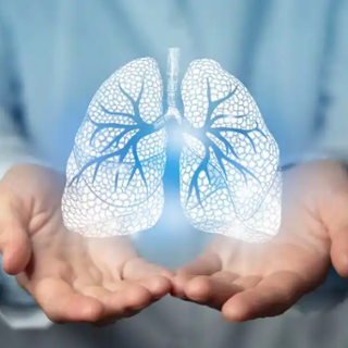 Pneumologische Reha: Grafik einer Lunge Pneumologische Reha: Grafik einer Lunge