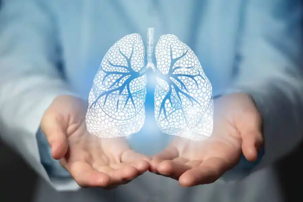 Pneumologische Reha: Grafik einer Lunge Pneumologische Reha: Grafik einer Lunge