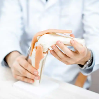 Reha mit TEP: Arzt erklärt Modell eines Knie-Gelenks