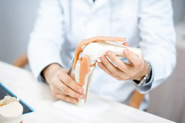 Reha mit TEP: Arzt erklärt Modell eines Knie-Gelenks