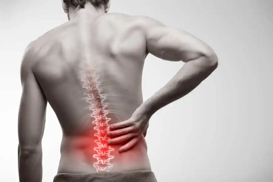 Rücken und Wirbelsäulen Reha: Wirbelsäule grafisch dargestellt